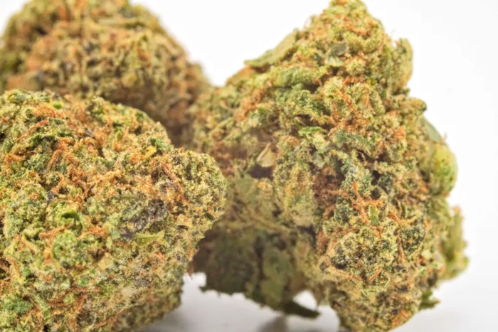 Buy Weed Online Canada - Kubo Cannabis - Alien OG - AAA