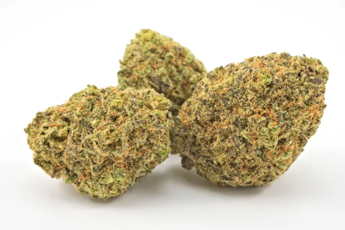 Buy Weed Online Canada - Kubo Cannabis - Granddaddy Purple - AAAA