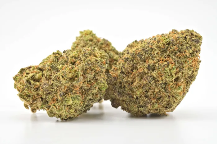 Buy Weed Online Canada - Kubo Cannabis - Granddaddy Purple - AAAA
