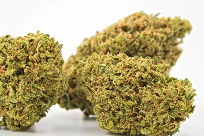 Buy Weed Online Canada - Kubo Cannabis - Tom Ford - AAAA