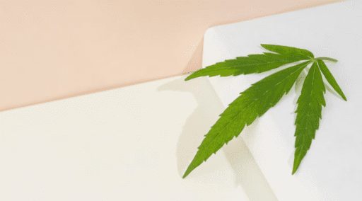 Order Cannabis Online in Fort Saskatchewan