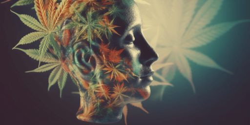 Separating Fact from Fiction: What Research Tells Us About Cannabis Tolerance