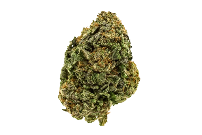 Single shot of AAAA Black Diamond flower nug from Kubo Cannabis