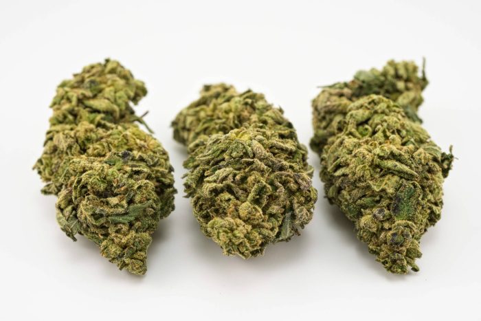 kubo-cannabis-buy-island-sweet-skunk