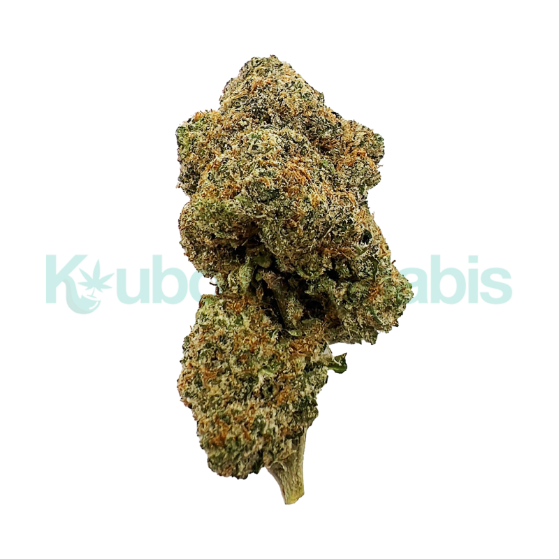 Blueberry-Cannabis-Strain