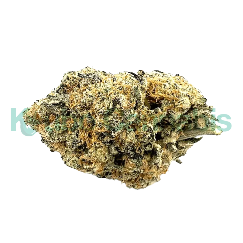 Buy Tangilope from Kubo Cannabis